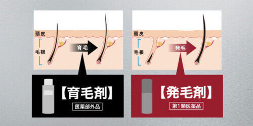 育毛剤と発毛剤